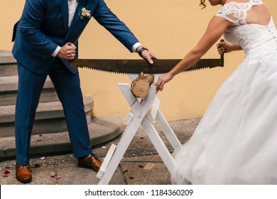bride and groom at the wedding perform a traditional ritual, saw the log with a large two-handed saw