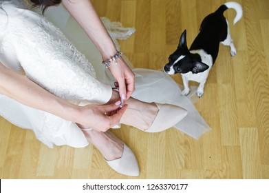 Bride With Her Dog