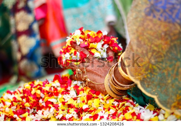 Bride Holding Rose Petals Flowers Throw Stock Photo Edit Now