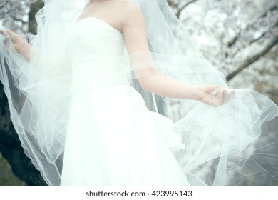 Bride image Wedding Wedding Dress