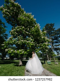 bride in the park