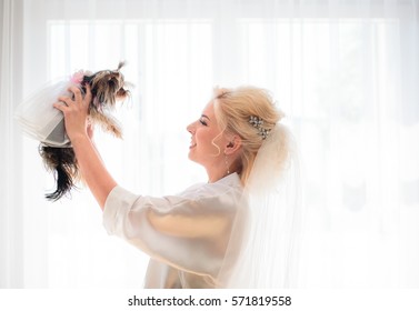 Bride Raises Little Funny Dog In Wedding Veil Over Herself Standing Before The Window