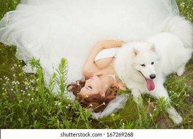 bride with a Samoyed