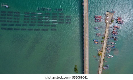 Bridge