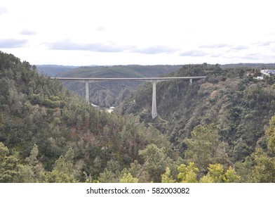 Bridge