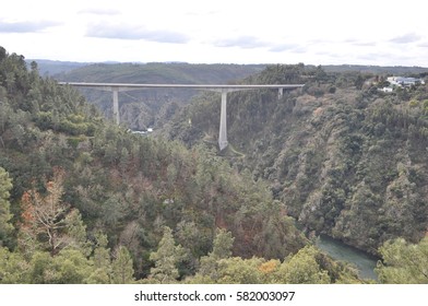 Bridge