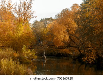 bridge