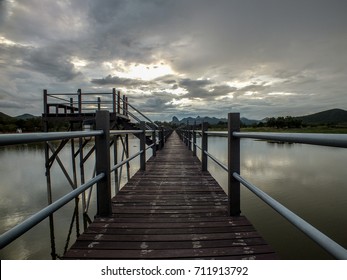 the bridge