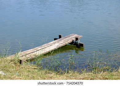 the bridge