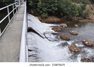 bridge