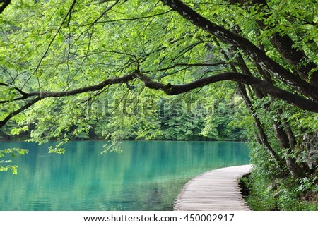 bridge