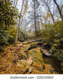 A bridge across a creek along a trail in the woods near Beech Mountain, North Carolina, USA