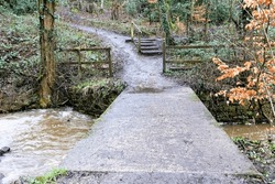 Bridge Across Fast Stream To Steps In Woods
