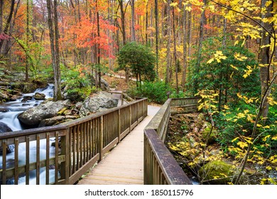 Bridge to Anna Ruby Falls, Georgia, USA in autumn. 