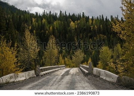 Bridge with an autumn forest mountain view in Whiteswan Provincial Park, Kootenay Rockies, British Columbia, Canada