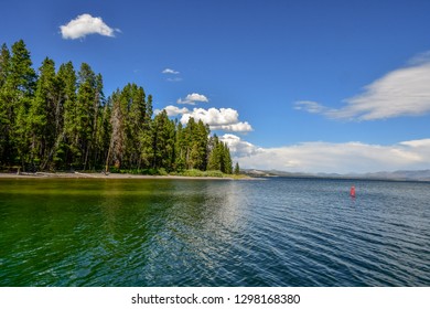 Bridge Bay Marina on Yellowstone Lake - Powered by Shutterstock