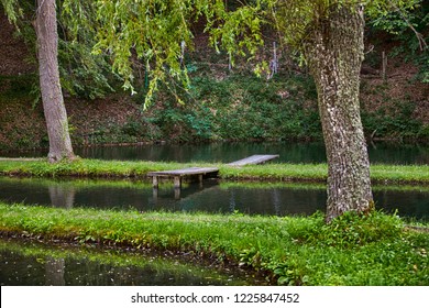 bridge between two trees