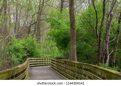 Bridge At Big Creek Greenway, Roswell Geordia.