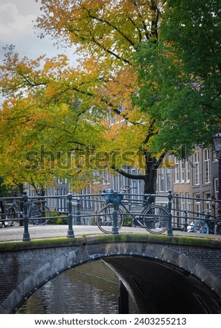 A bridge with bikes on the canal, autumn colorful trees, Amsterdam