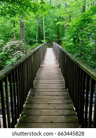 Bridge In Blue Ridge, North Georgia Mountains 