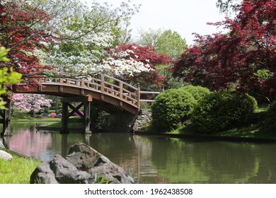 Bridge at the Botanical Gardens in Missouri. 