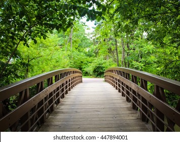 Bridge Crossing