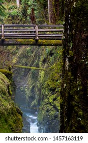 Bridge Crossing Chasm In The Forest