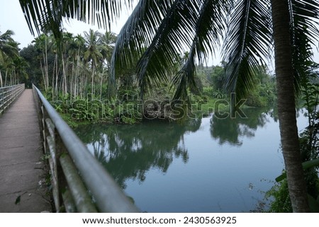  Bridge crossing river in village in kerala
