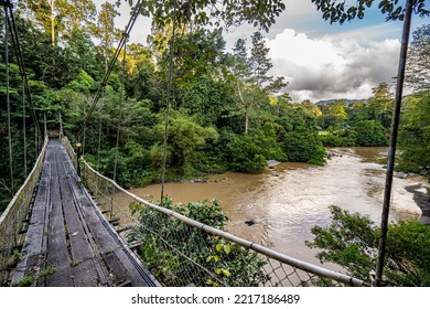 Bridge In Danum Valley Conservation Area