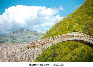 Ponte Della Liberta Images Stock Photos Vectors Shutterstock