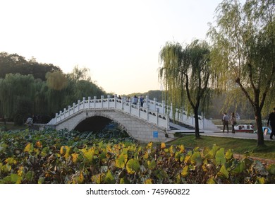 A Bridge In East Lake, Wuhan, China.