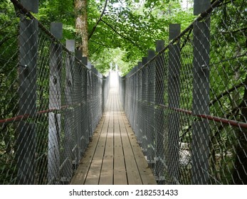 Bridge At Fall Creek Falls Tenessee 