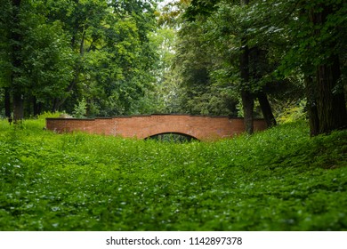 Bridge in forest