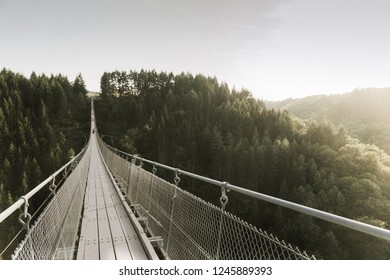 Bridge in the forest