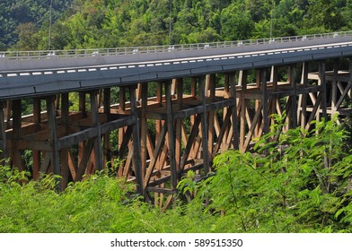 Bridge in forest