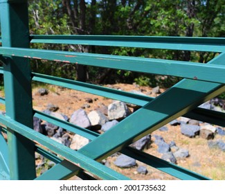 Bridge In Forest Apache Sitgreaves