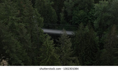 Bridge Hidden Between Forest