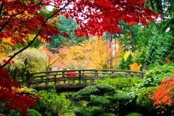 Мост в японском саду во время осеннего сезона