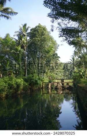 bridge in kerala with reflection of sky