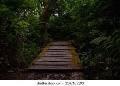 Bridge Leading To La Push Beach, Forks, Washington.