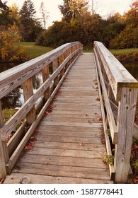 Bridge and leafs in fall time