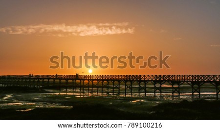 The bridge link