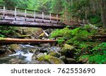 A Bridge and Lush Forest Near The Snoqualmie River. 
North Bend, Washington