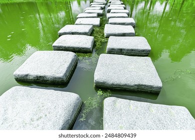 A bridge made by placing stepping stones in a row over a stream or water-filled area.