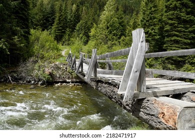 Bridge Made Of Felled Timber Across A Small River With Clear Water. The Path Leads Into A Forest. No People.