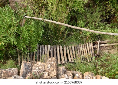 Bridge Made Of Wood Destroyed In The Vegetation