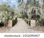 Bridge in Mandeville Louisiana at Fontainebleau State Park walking the trails