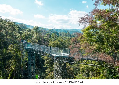 bridge in the mountains
