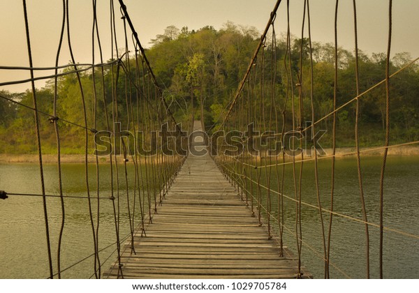 bridge nature forest wooden tree mountain\
summer walkway landscape