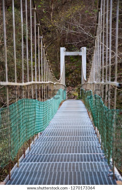 Bridge in the nature in Spain, symmetrical where\
the end stands out\
